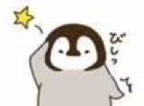 西西光光的个人资料头像