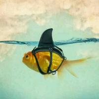 用户289907348628957头像