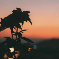 退哦了破烂事啦咯头像