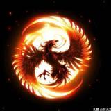 三国志强哥头像