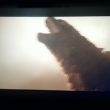 用户9837706806326头像