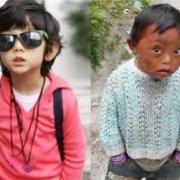 深圳钦差大人的个人资料头像