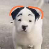 李润华468头像