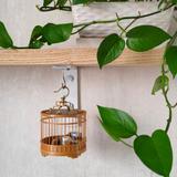 骑着小马666头像