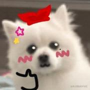 旺仔脆啵啵的个人资料头像