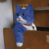 高冷雪梨xkF头像