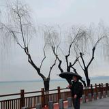 治愈不美好头像