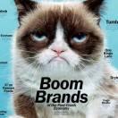 stupidme的个人资料头像