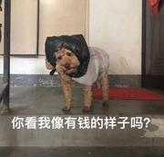 史迪奇先生的个人资料头像