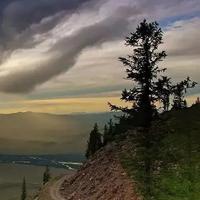 善良的戎叔头像