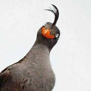 杨霄飞的个人资料头像