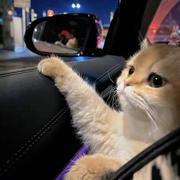 Lucas81的个人资料头像