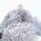 开发者果哥的个人资料头像