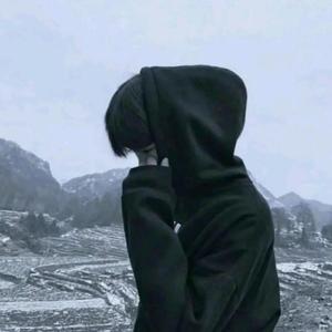 地蛋看世界头像