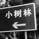 争取提玛莎拉蒂 · 帕萨特PHEV车主·车龄3年头像