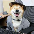 MyLifesGettingBetter的个人资料头像