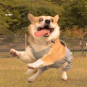 麦冬ER的个人资料头像