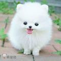 醉逍遥79头像