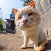 ArloSeth527的个人资料头像