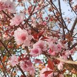 阴天0328头像