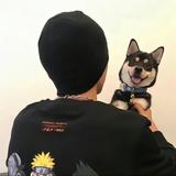 猪猪男神1头像