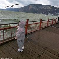 小雨点9p5Z头像