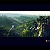 天生天养168头像