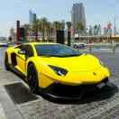 栀暖鸢飞的个人资料头像