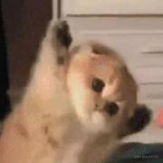 xu817的个人资料头像