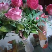 聪明艾伦6X0头像