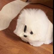 乌山青野的个人资料头像