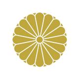 正点产品一次性用品德盈头像