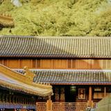 不我就哦头像
