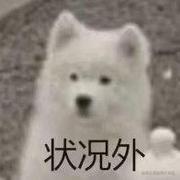 是逸啊喂的个人资料头像