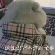 樰的个人资料头像