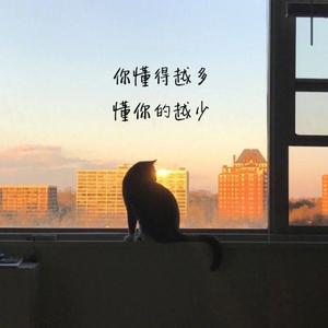 冉楠439头像