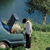 一只龙龙龙龙头像