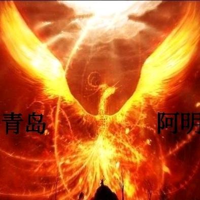 青岛阿明头像