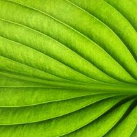 创意百色5j9头像