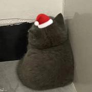 用户1483224813946的个人资料头像