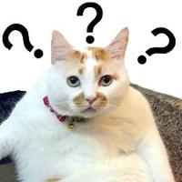 一生而已嘛头像