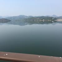 塔寨村支书2Z5t头像