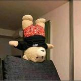 进取百灵鸟pkw头像