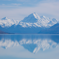 红萝卜开花头像