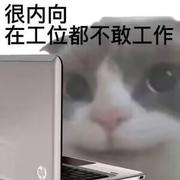 背锅侠12345的个人资料头像