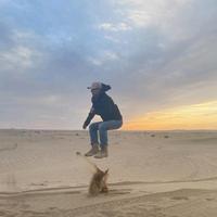 哈雷太空头像