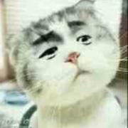 用户249059138071的个人资料头像