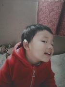 小王子的玫瑰花的个人资料头像