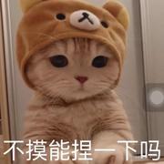 西涯的个人资料头像