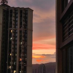 灵灵要自律头像